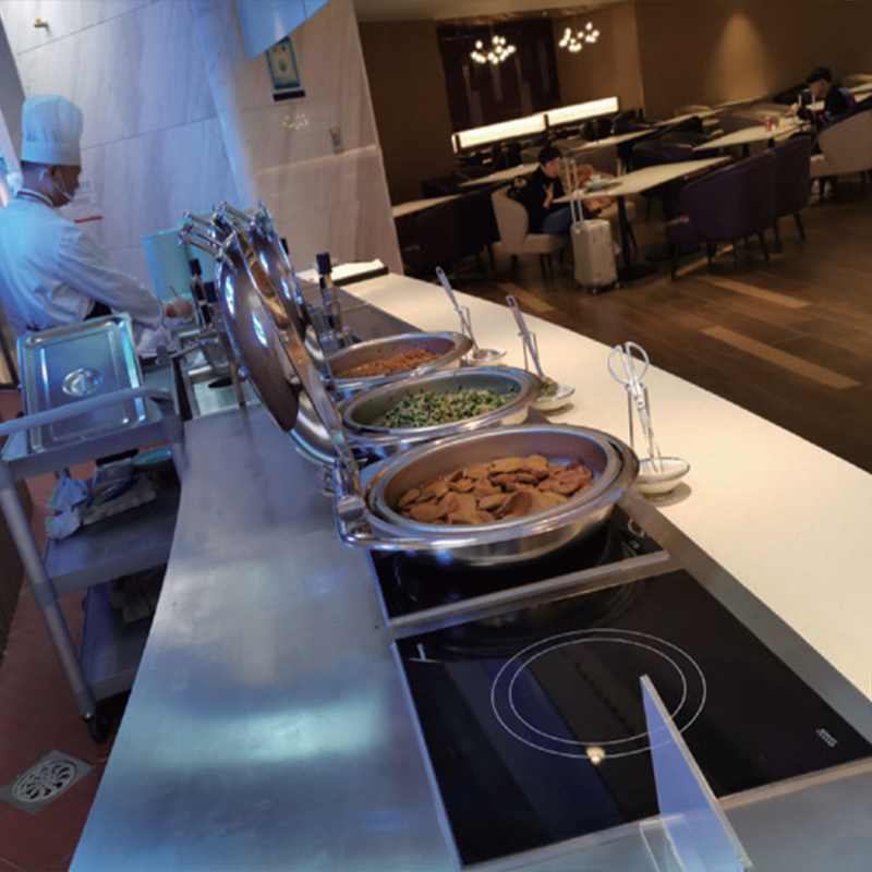 Electric Food Warmer Manufacturer - Built-in Efficient Space-Saving for Hotel Buffet