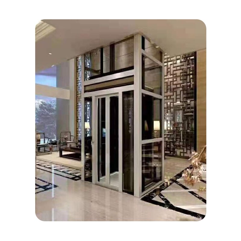 Home Elevator Supplier - Modern Popular Home Elevator