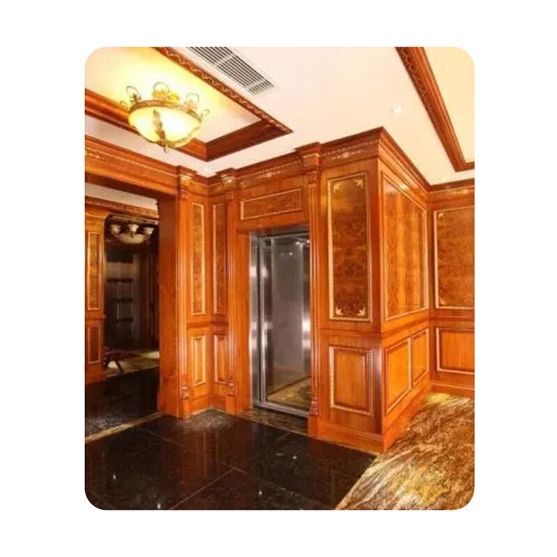 Home Elevator Manufacturer - 2-4 Floor 400kg Modern Residential Passenger