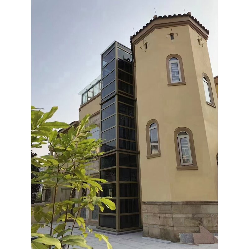 Elevator Manufacturer - Modern Fashion MRL Space Saving Energy Efficient