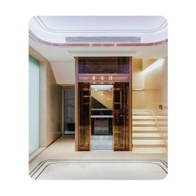 Apartment Elevator Manufacturer - High Quality Classic Style Premium Design