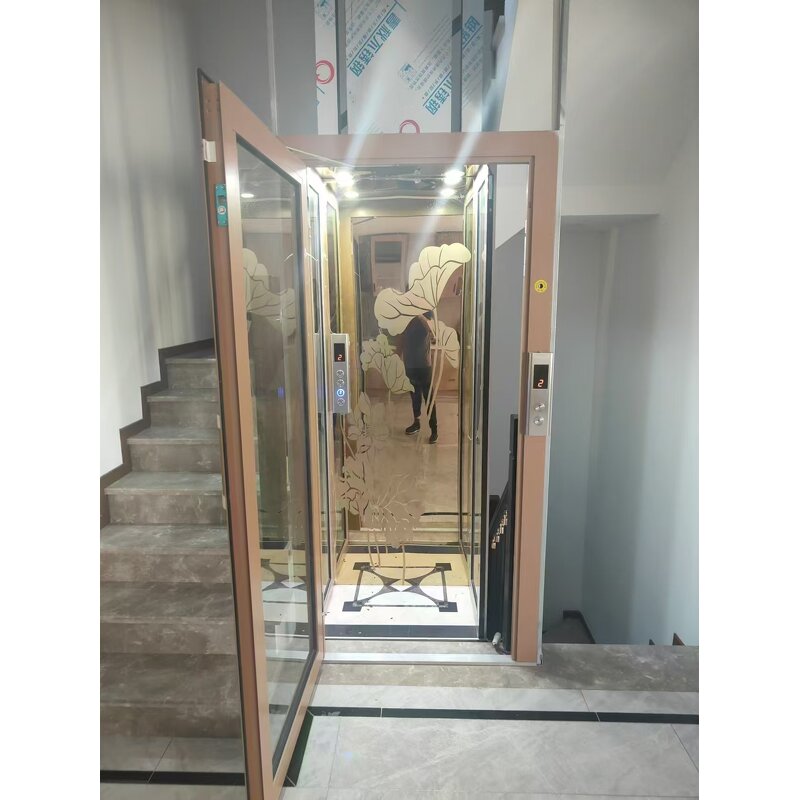 Residential Elevator Supplier - Hot Sale Domestic Villa Vertical Small