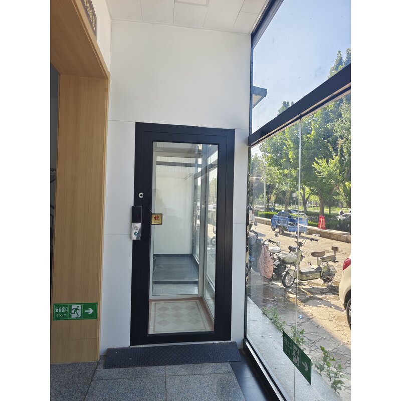 Home Lift Manufacturer - Luxury Design Glass Cabin Small Ascenseur Maison