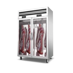 Cold Meat Display Supplier - Single-Temperature Vertical for Frozen Beef Pig Mutton