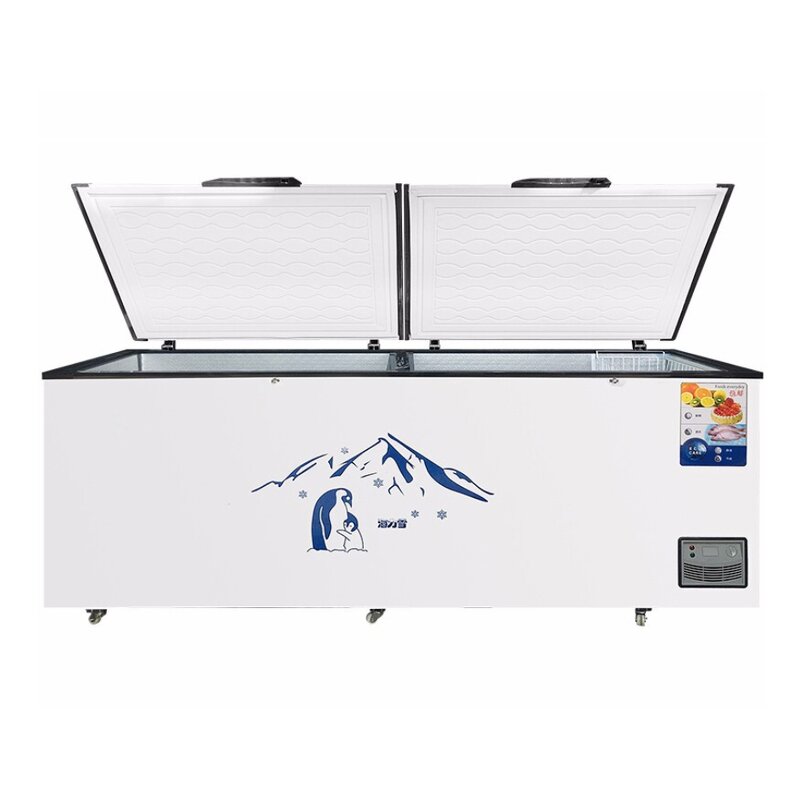 Deep Chest Freezer Supplier - High Quality Commercial Freezer