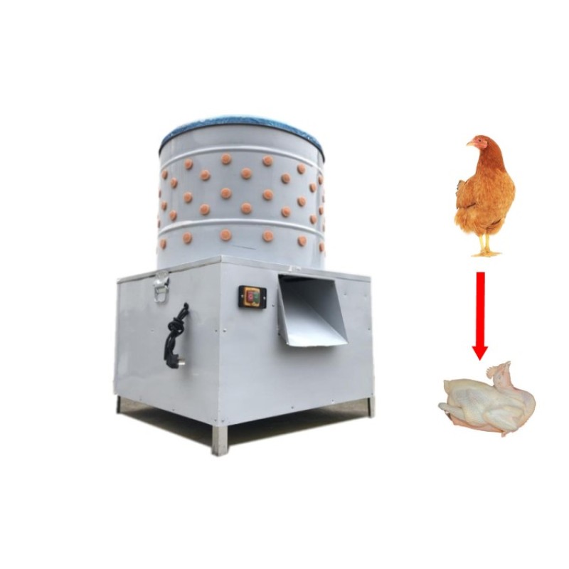Chicken Plucker Machine Factory - Affordable Practical for Poultry Plant