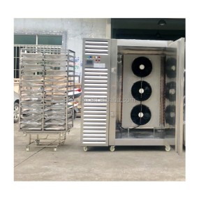 IQF Machine Manufacturer - Best Price Fully-automatic Top Quality Tunnel