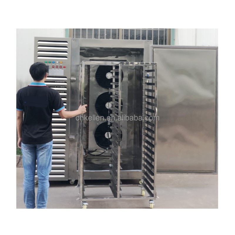 Liquid Nitrogen Blast Freezer Supplier - Sea Food Quick Freezing for Sale