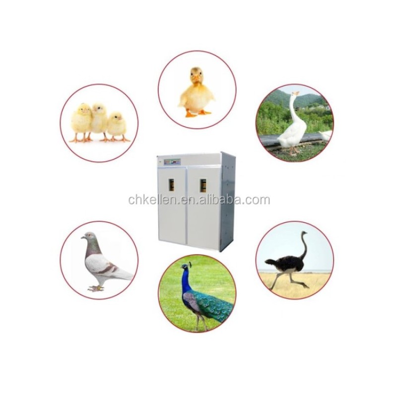 Incubators for Hatching Eggs Supplier - High Quality and Trade Assurance