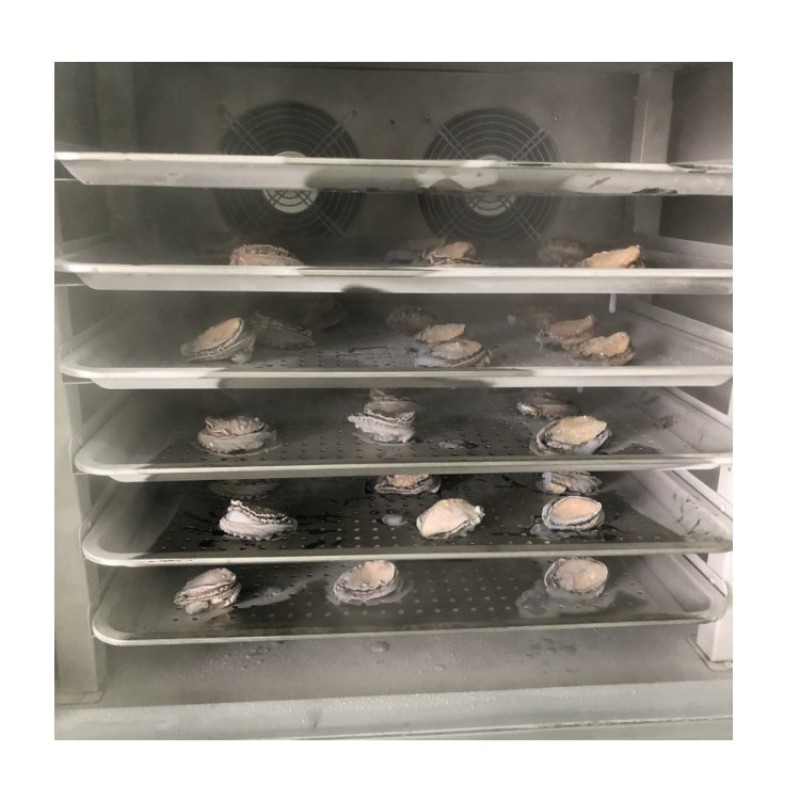 IQF Spiral Freezer Factory - Batch Single Spiral Type Quick Freezing Tunnels