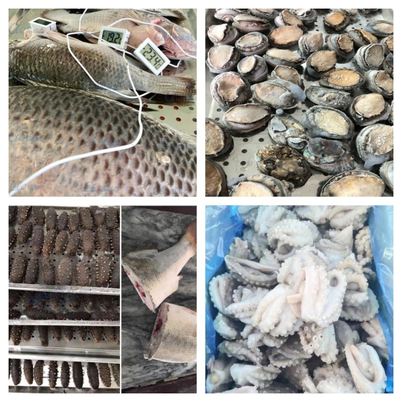 Blast Freezer for Pastry Factory - High Quality Professional Factory Quick