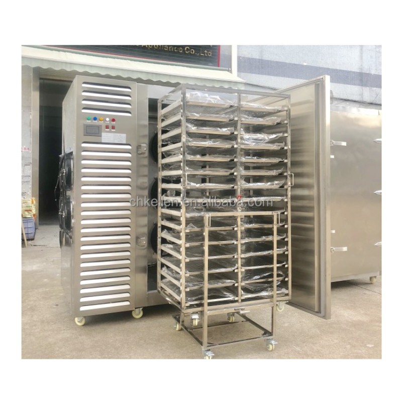 IQF Machine Manufacturer - Best Price Fully-automatic Top Quality Tunnel