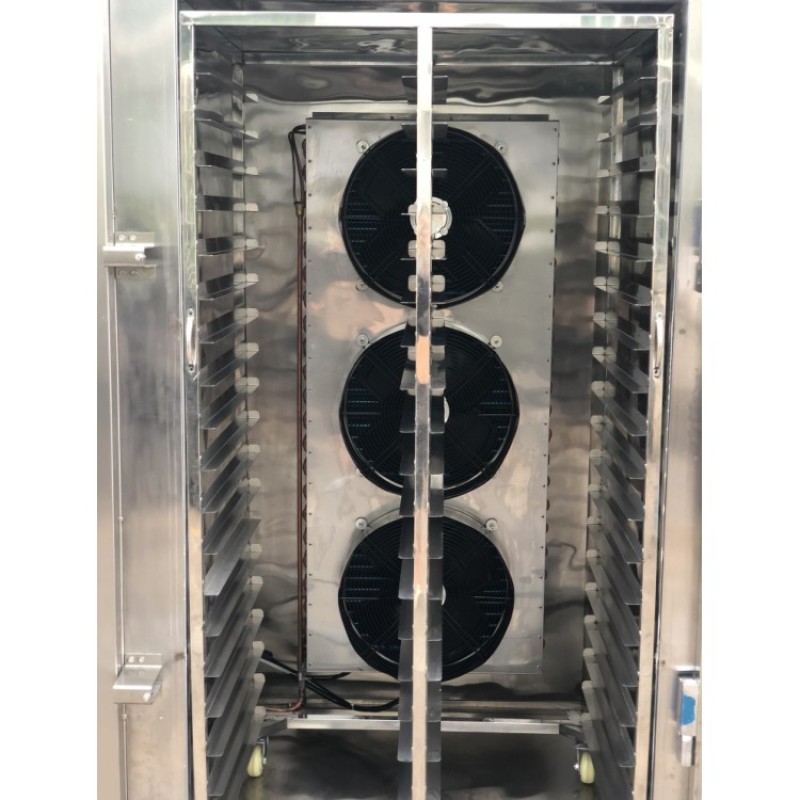 Blast Freezer Manufacturer - Quick Freezing Equipment with Fruit Pulp