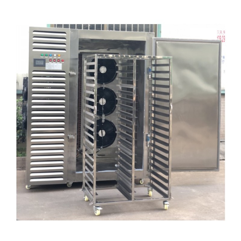Blast Freezer Manufacturer - Quick Freezing Equipment with Fruit Pulp