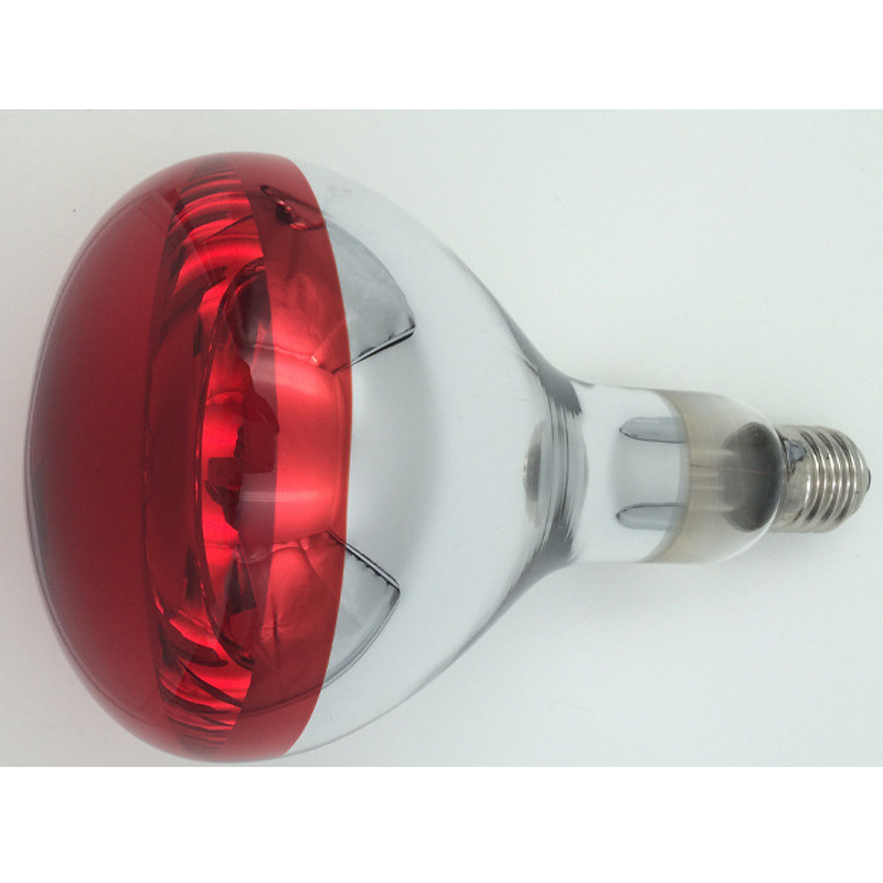 Horse Microscope Factory - Biological Microscope for AI