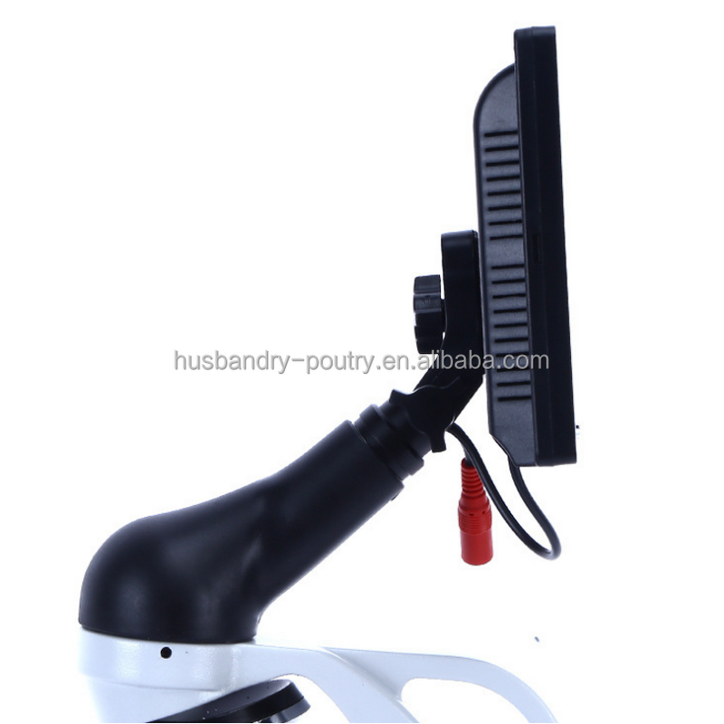 Kitchen Acrylic Condiment Server Supplier - Ice Chilled 5 Compartment