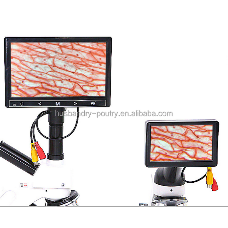 Kitchen Acrylic Condiment Server Supplier - Ice Chilled 5 Compartment