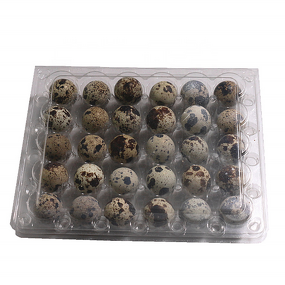 Horse Egg Blister Packs Manufacturer - 30 Packs Tray