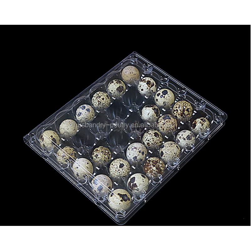 Horse Egg Blister Packs Manufacturer - 30 Packs Tray