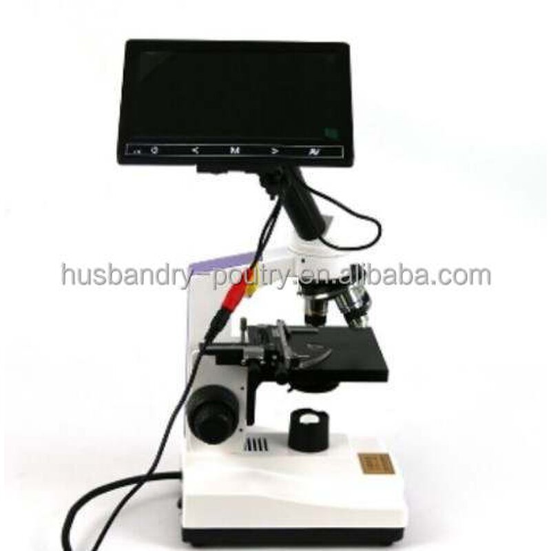 Kitchen Acrylic Condiment Server Supplier - Ice Chilled 5 Compartment