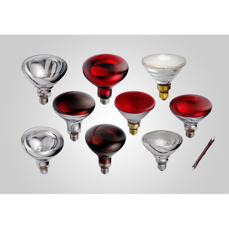 Horse Microscope Factory - Biological Microscope for AI