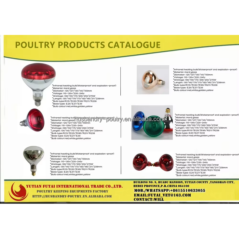 Horse Thermometer Supplier - Digital Dual Temperature Meter