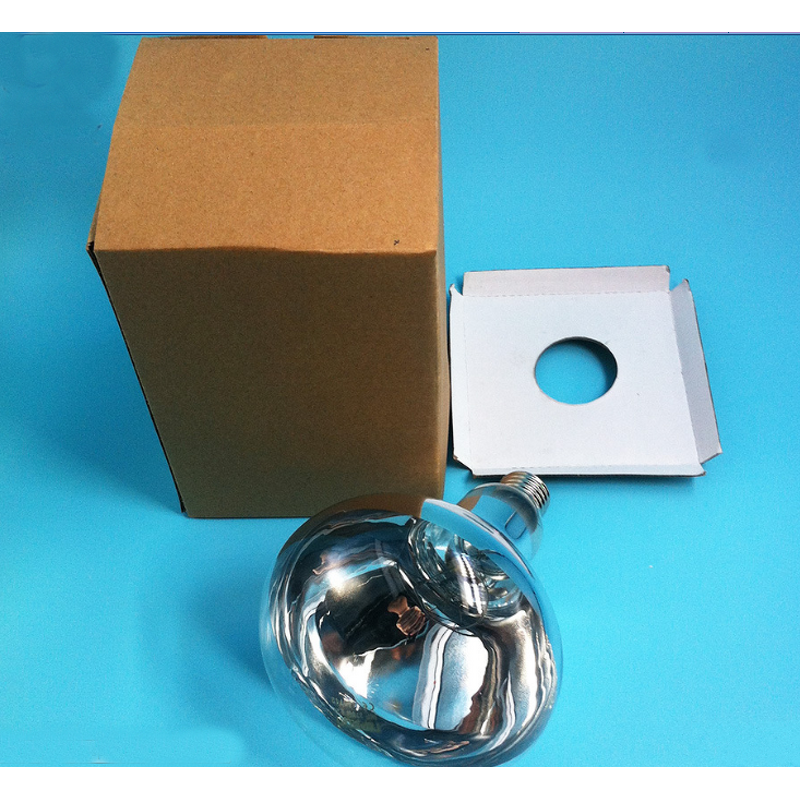 Horse Microscope Factory - Biological Microscope for AI