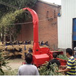 Animal/Vet/livestock feed processing machine