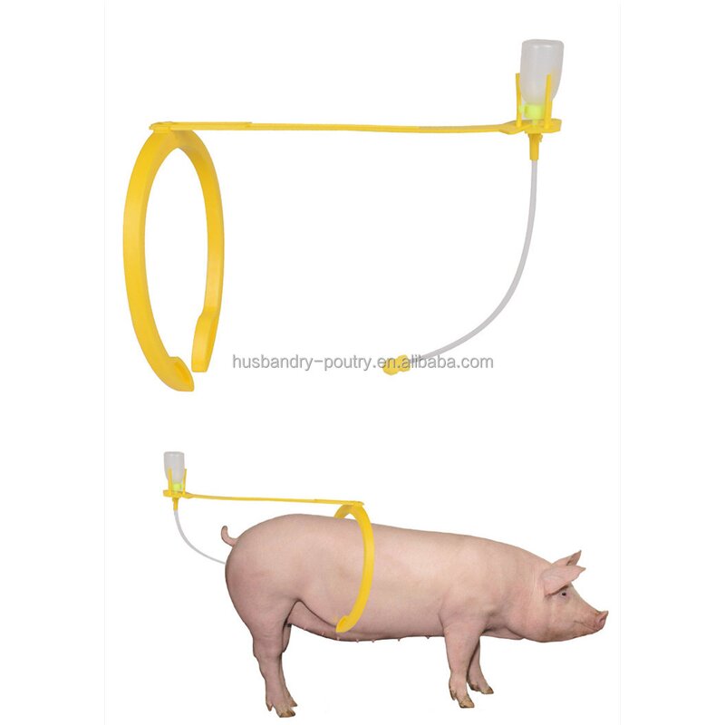 Pig AI Clip Holder Factory - USA Type Artificial Insemination