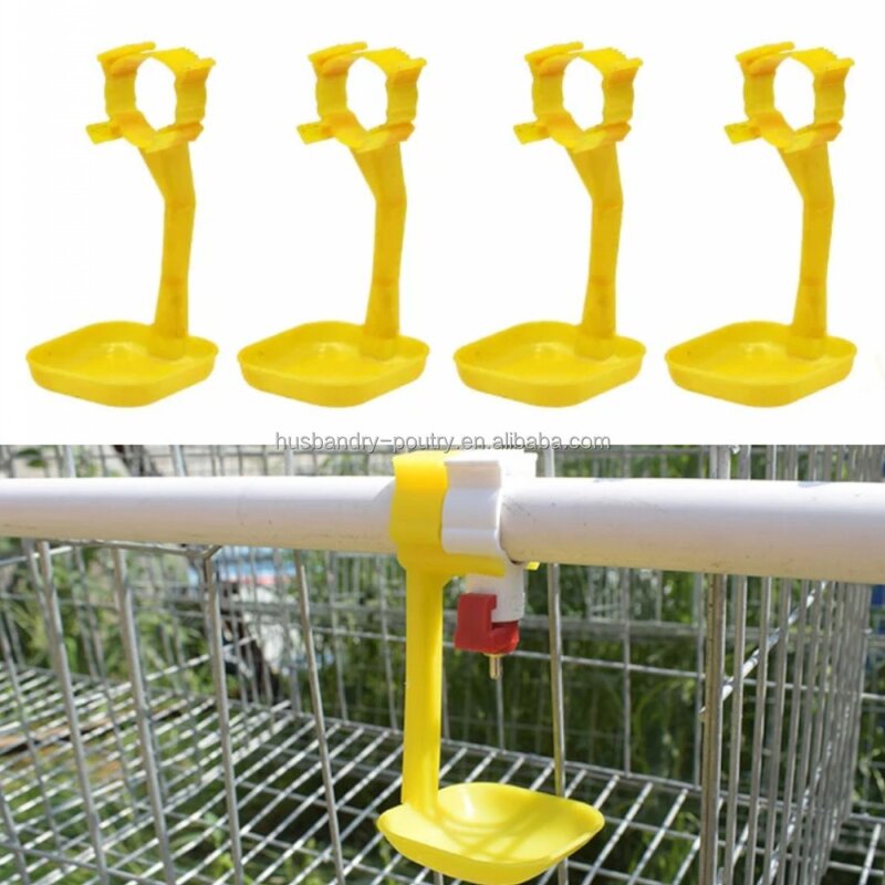 Poultry Drinkers Cup Supplier - Poultry Watering Cup