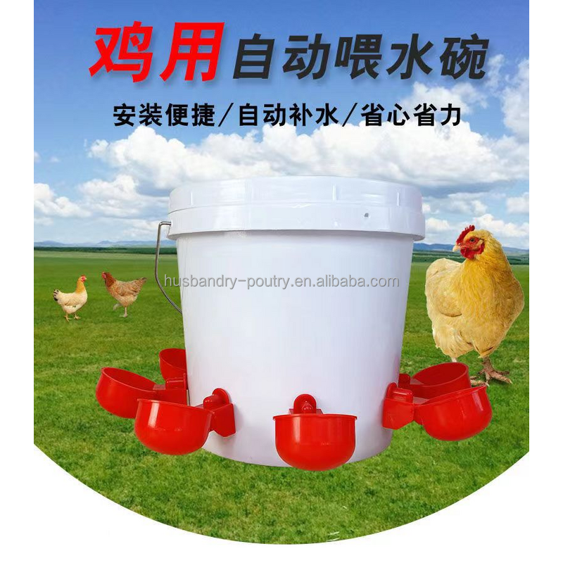 Chicken Poultry Feeder Factory - Trough Supplier