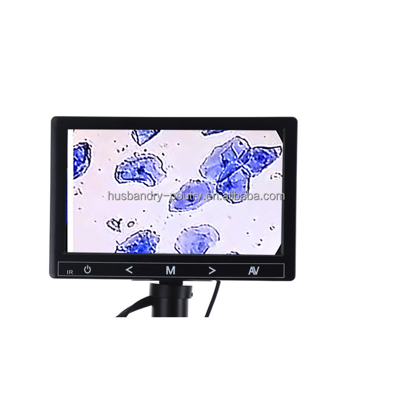 Kitchen Champagne Bucket Supplier - Plastic Beer Bucket