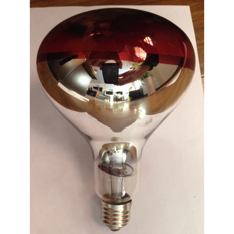 Horse Microscope Factory - Biological Microscope for AI