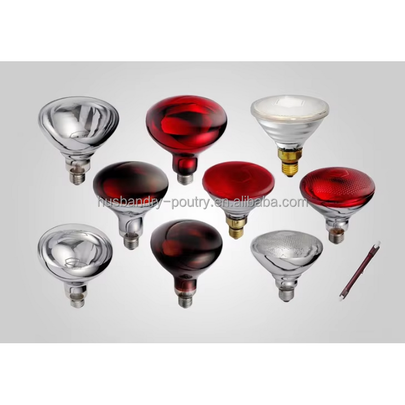 Horse Thermometer Supplier - Digital Dual Temperature Meter