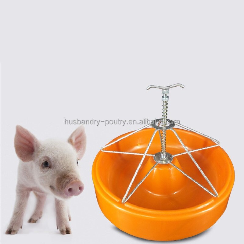 Pig Farrowing Crate Manufacturer - Cages with PVC Panel