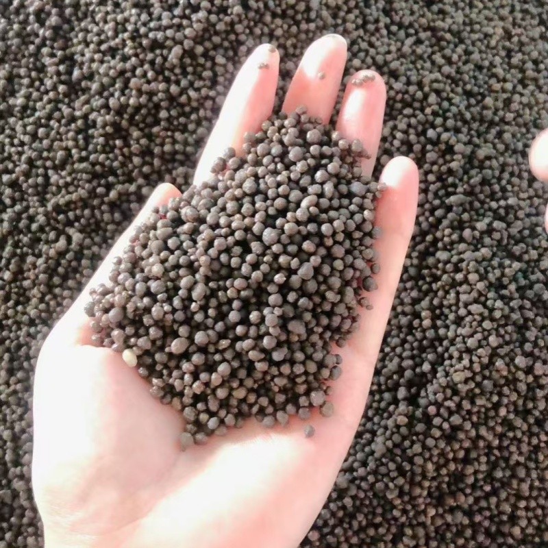 Top Quality DAP Fertilizer for Paddy Fields