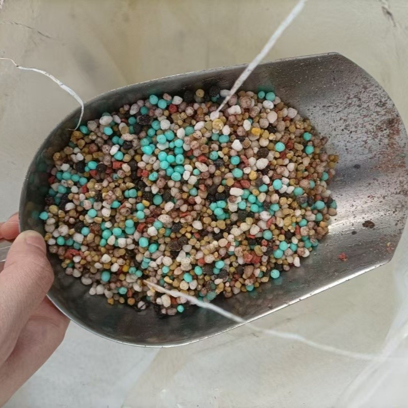 Soil Conditioner and Fertilizer DAP for Crop Roots