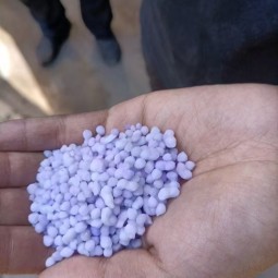 Soil Conditioner and Fertilizer DAP for Crop Roots