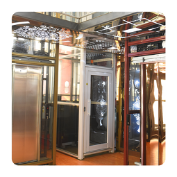 Residential Elevator Manufacturer - Compact Hydraulic System PVC Flooring 2-4 Floor