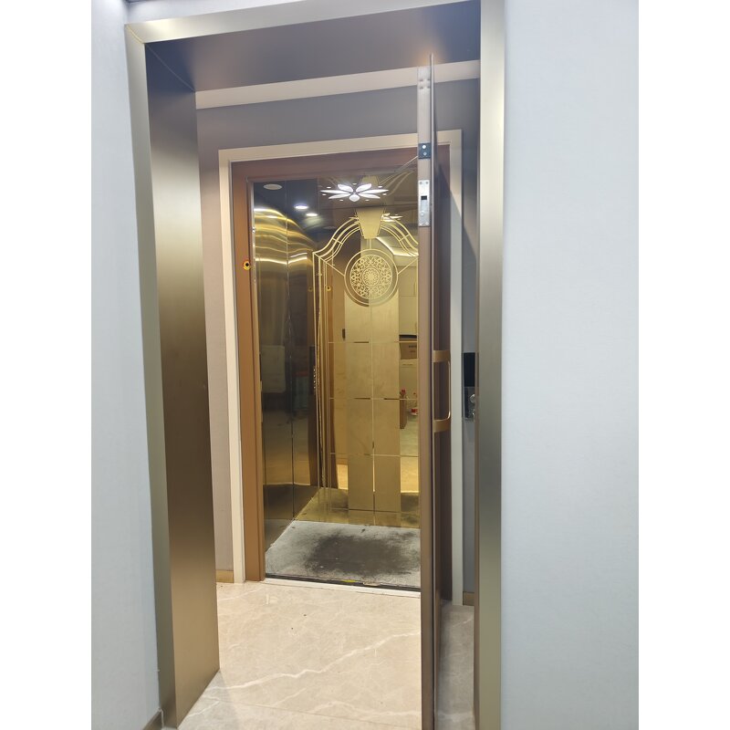 Residential Home Lift Manufacturer - Mini 2-Floor Panoramic Gearless for Hotel Villa