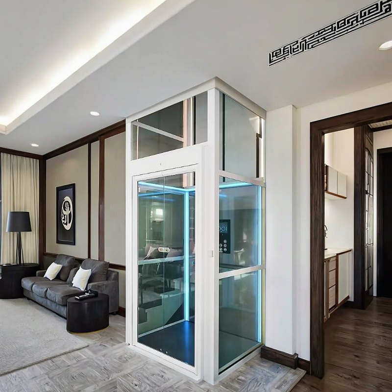 Villa Elevator Supplier - Customization Electric Environmental protection Domestic Lift