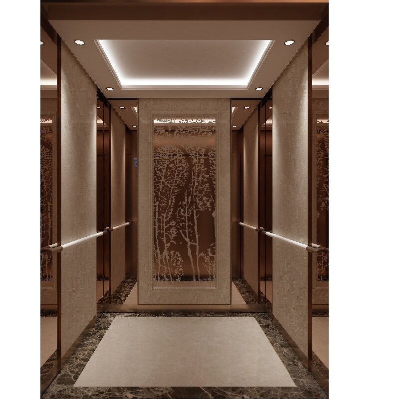 Residential Home Lift Manufacturer - Mini 2-Floor Panoramic Gearless for Hotel Villa