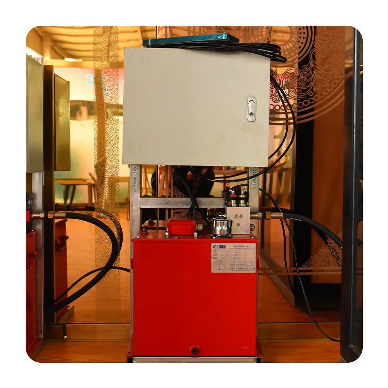 Home Lift Supplier - 3m One Floor 2-3 Stop Italian Electric Glass Doors System