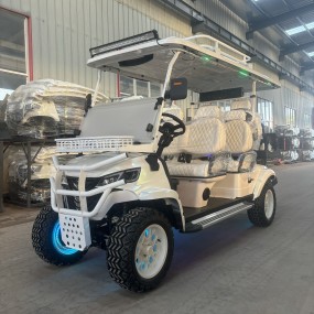 Electric Golf Cart Manufacturer - 6 Person 72V Vehicle Competitive Price