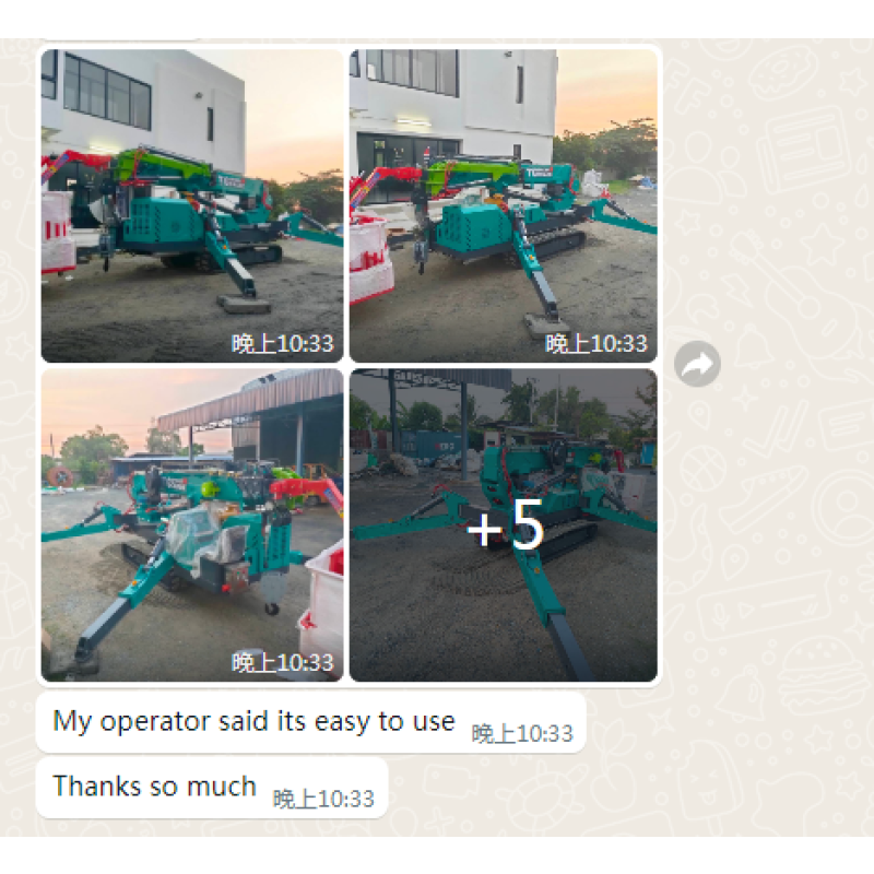 Spider Crane Manufacturer - 3 Ton Crawler Crane CE/EPA