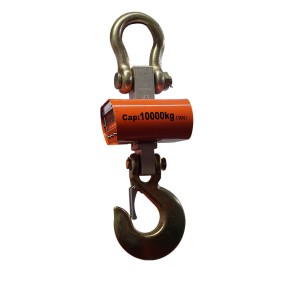 Mini Electric Hoist Supplier - PA100 220V 100kg