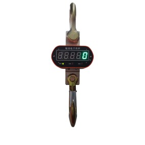 Electronic Crane Hanging Scale Supplier - 300-1000kg 5-100t Ocs Weight