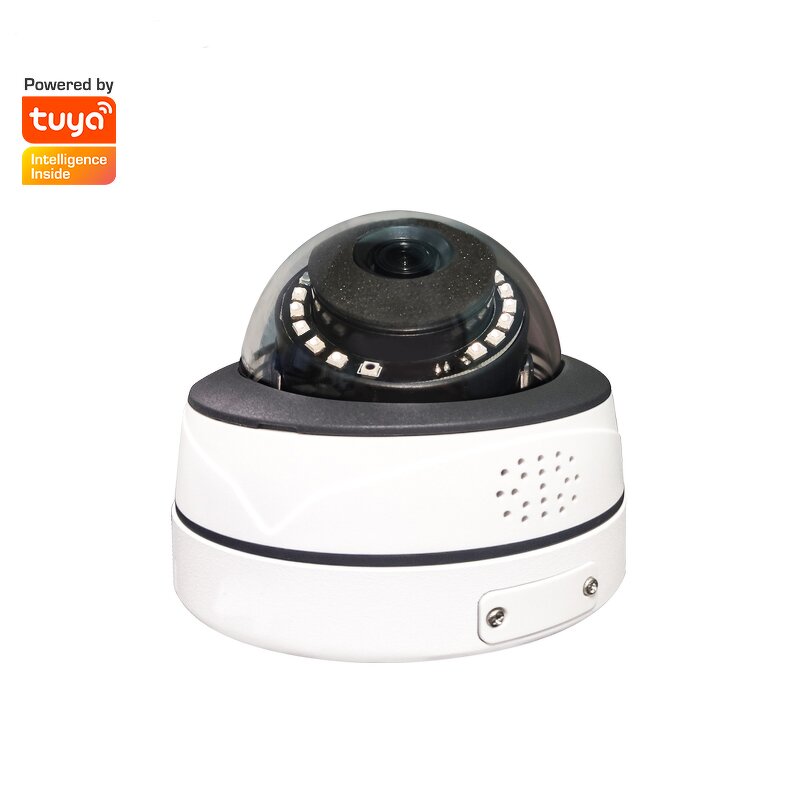 Outdoor IP Camera Factory - 5MP P2P 4K Vandalproof