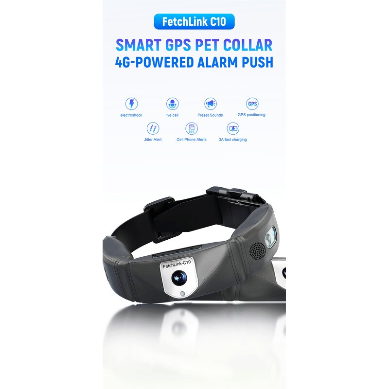 GPS Dog Collar Factory - 4G Waterproof Training Pet