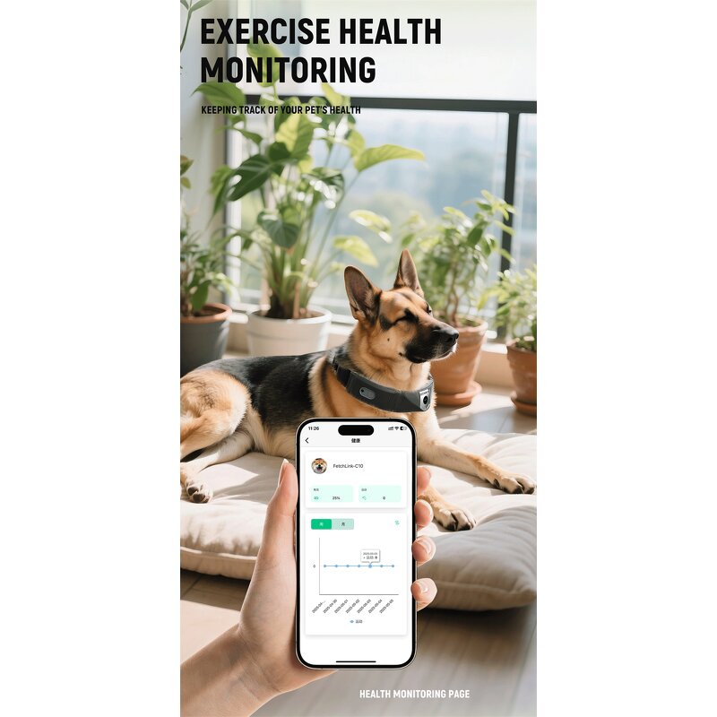 GPS Dog Collar Factory - 4G Waterproof Training Pet